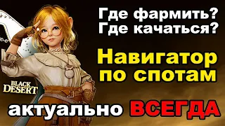 BDO: Где качаться, где фармить? - актуально всегда в Black Desert