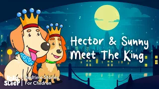 Hector & Sunny Meet The King | Calming Stories to Help Kids Sleep Better 😴