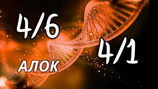 Профиль 4/6  - профиль 4/1 - Дизайн Человека -лекция Алока