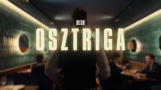 DESH - OSZTRIGA (Official Music Video)