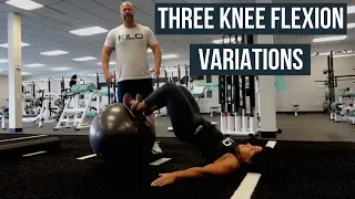 Three Knee Flexion Variations | No Leg Curl? | Train Your Hamstrings