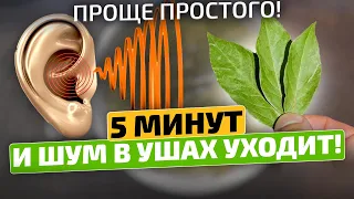 Измучилась вся, а спас меня от шума в ушах и звона простой рецепт! Шум в ушах