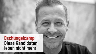 Dschungelcamp: Diese Kandidaten leben nicht mehr