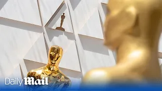 LIVE: Oscars 2024 Academy Award nominations