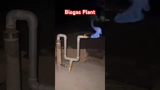 #biogas #gobargasplant #youtubeshorts #shorts #india