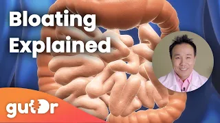 Bloating | The GutDr Explains (3D Gut Animation)