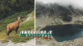 Rila | Drumeție către cel mai înalt vârf din Balcani,  Vârful Musala