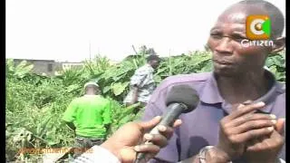 Njiru Sewer Bhang Farms