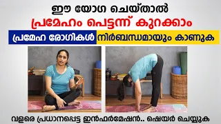 ഈ യോഗ ചെയ്താൽ പ്രമേഹം പെട്ടന്ന് കുറക്കാം | Prameham Kurakkan Yoga | Best Yoga for Diabetes