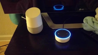 Alexa Google Home infinite loop