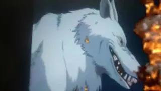 ANIME WOLVES RESISTANCE