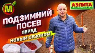 Когда и Как Сеять под Зиму для Раннего Урожая