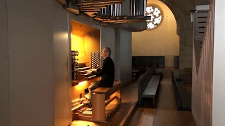 Kay Johannsen plays Bach: Prelude and Fugue c minor BWV546