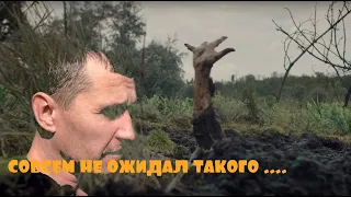 МЫ НАШЛИ ЕГО. А ВЕДЬ НЕ ОЖИДАЛИ ЧТО НАЙДЕМ