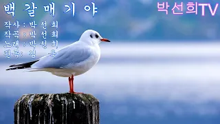 백갈매기야/원곡:박선희