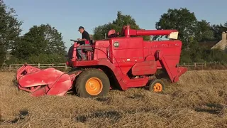 Vintage Thursday. Massey Ferguson 515 combine at work.