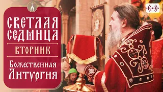 БОЖЕСТВЕННАЯ ЛИТУРГИЯ. Трансляция богослужения 26 апреля (вторник) в 9:00