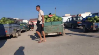 17.08.2023 Цены на рынке Великие Копани (Херсонская область)