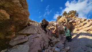 💫 Una storia della vita di Maryam in montagna nel tentativo di sopravvivere