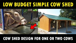 Simple Low Budget Cow Shed Design for One or Two Cows | Small Dairy Farm