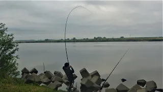 【幻の巨大魚を求めて】170㎝を超える魚が日本の川にいると聞いて人生をかけて釣りに出かけました