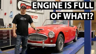 What Surprises Are Hiding In This Big Healey!