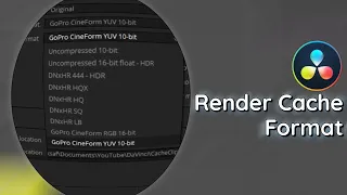 Render cache format in DaVinci Resolve. all the things that you need.