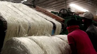 How to process jute yarn I Best Jute Yarn Manufacturer in Bangladesh I Eco Source Bangladesh