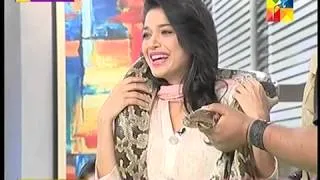 Jago Pakistan Jago 31st Oct 2014 Pets special SnamJung with huge snake HUM TV Morning Show.mp4