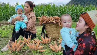 Warmth when mother and child are together - Harvest Carrots to sell - Preparing dishes from Carrots