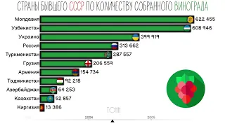 Страны бывшего СССР по урожаю винограда.Рейтинг стран СССР.Инфографика.Статистика.Сравнение стран