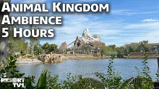 5 Hours of Animal Kingdom Ambience - Relaxing Screensaver - Walt Disney World Windows