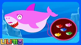 [영어] 엄마 상어가 아기를 낳아요! | 아기상어 과일 먹기 | 상어 치료하기 | 모음집 | 색깔놀이 | 니니키즈 NINIkids