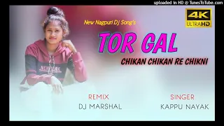 Tor Gal Chikan Chikan Re Chikni||New Nagpuri Dj Song's 2022||New Nagpuri Song's||New Ho Song's 2022