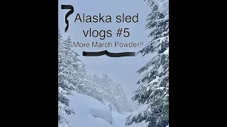 Alaska sled vlogs #5 (2022 Arctic cat vs turbo skidoo in DEEP snow!) #skidoo #snowmobile #sledding