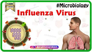 Influenza Virus Microbiology Animation