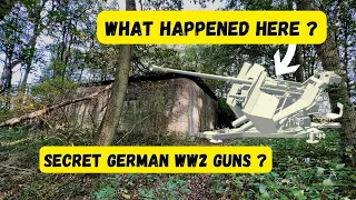 Secret German WWII guns.  What happened here ?