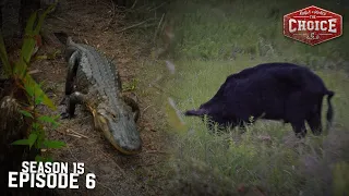 Florida Gators and Hogs - The Choice (Full Episode) // S15: Episode 6