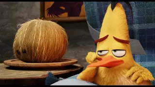 'The Angry Birds Movie' (2016) Deleted Scene | Coconut Story