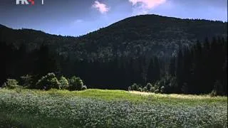Kad već postoji planina - Velebitski aromatarij