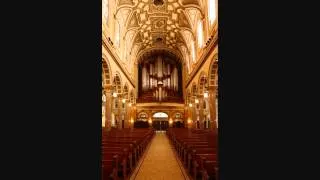 Church of St. Ignatius Loyola Mander Organ in New York City