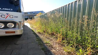 There were Emergency Level Weeds at this Property | Watch us Rescue this Entrance Way