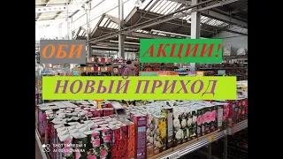 ОБИ - АКЦИИ на розы, пионы. Новые поступления. Ассортимент и цены. Февраль 2024 г.