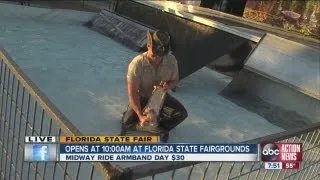 Fair Fun:  Alligator Wrestling