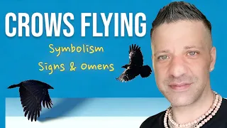 IF YOU SEE A CROW FLYING WHILE MAKING AN IMPORTANT DECISION | Symbolism | Signs & Omens