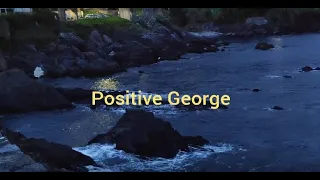 Positive George - La imaginación es más importante que el conocimiento