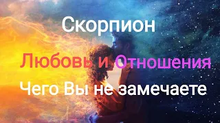 Скорпион 🦂❤️ Любовь и Отношения..Чего вы не замечаете!?