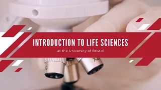 Intro to the Faculty of Life Sciences (ft taster lecture on The Neuroscience of Learning and Memory)