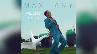 Wellboy - Гуси (Max Iany remix)