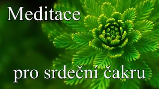 Meditace pro srdeční čakru | Uzdravte a naplňte své srdce láskou